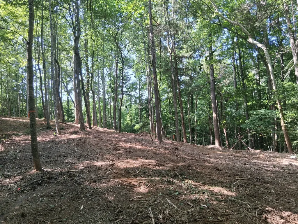 745 October Drive Smithville TN 37166
