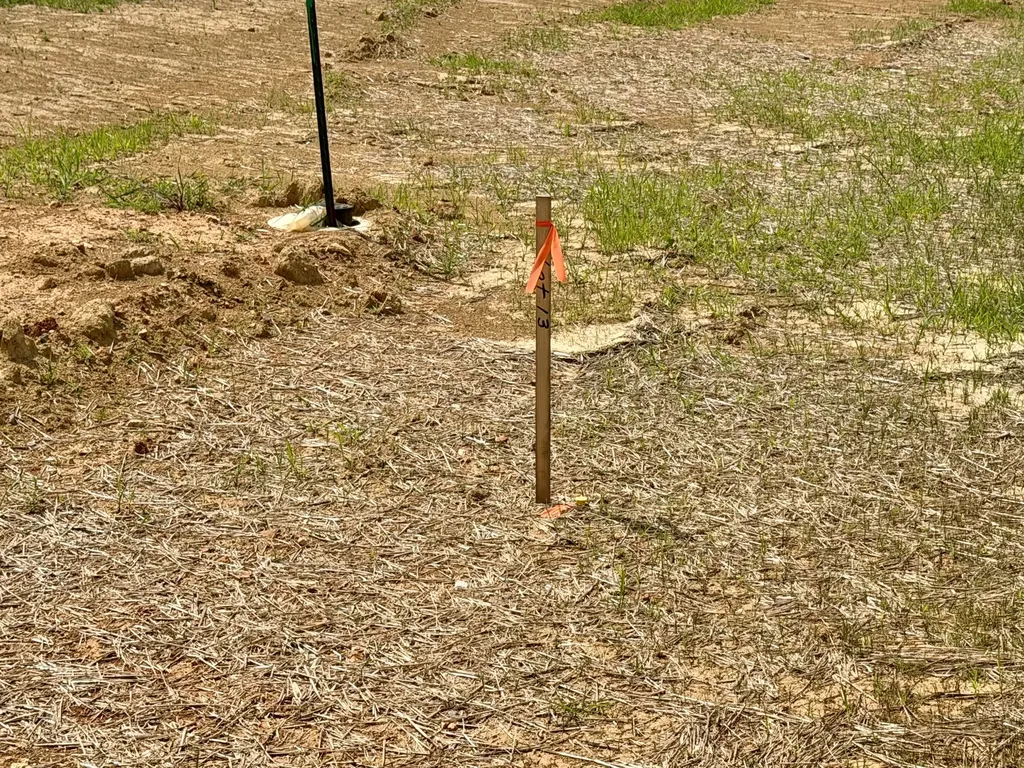 13 Fawn Meadows Clarksville TN 37043