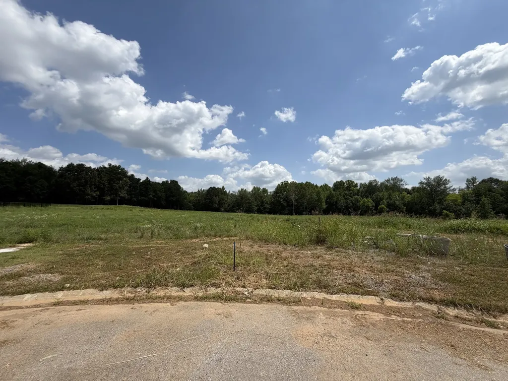 20 Fawn Meadows Clarksville TN 37043