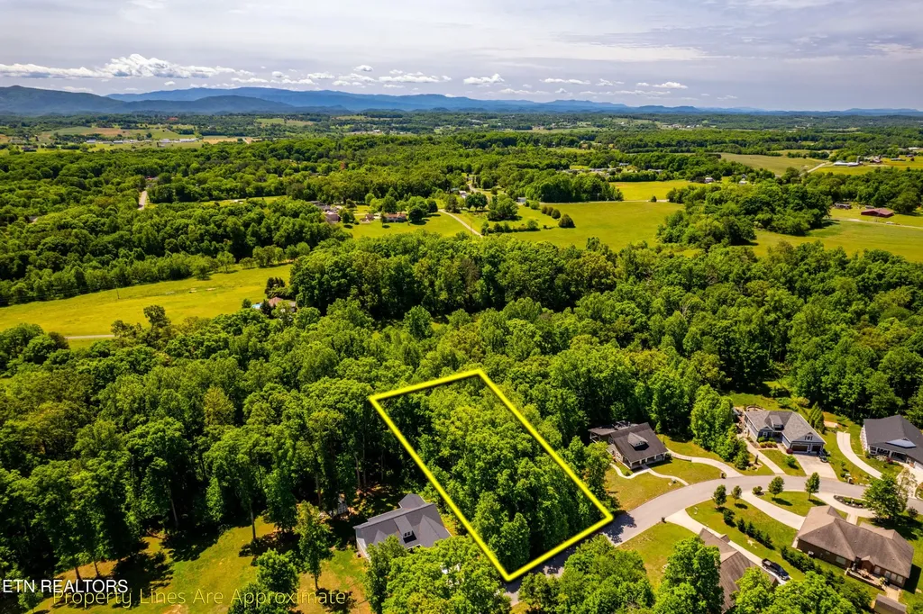 1055 Houston Springs Road Greenback TN 37742