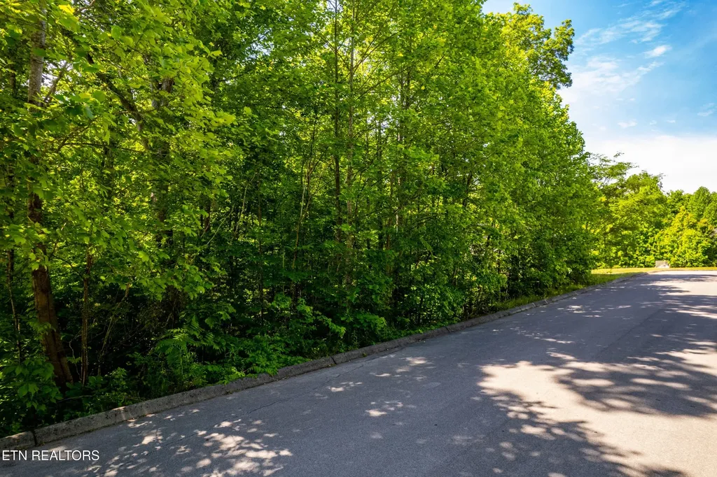 1055 Houston Springs Road Greenback TN 37742
