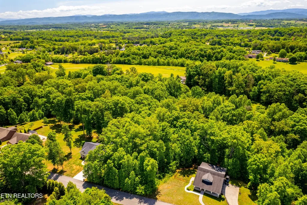 1055 Houston Springs Road Greenback TN 37742
