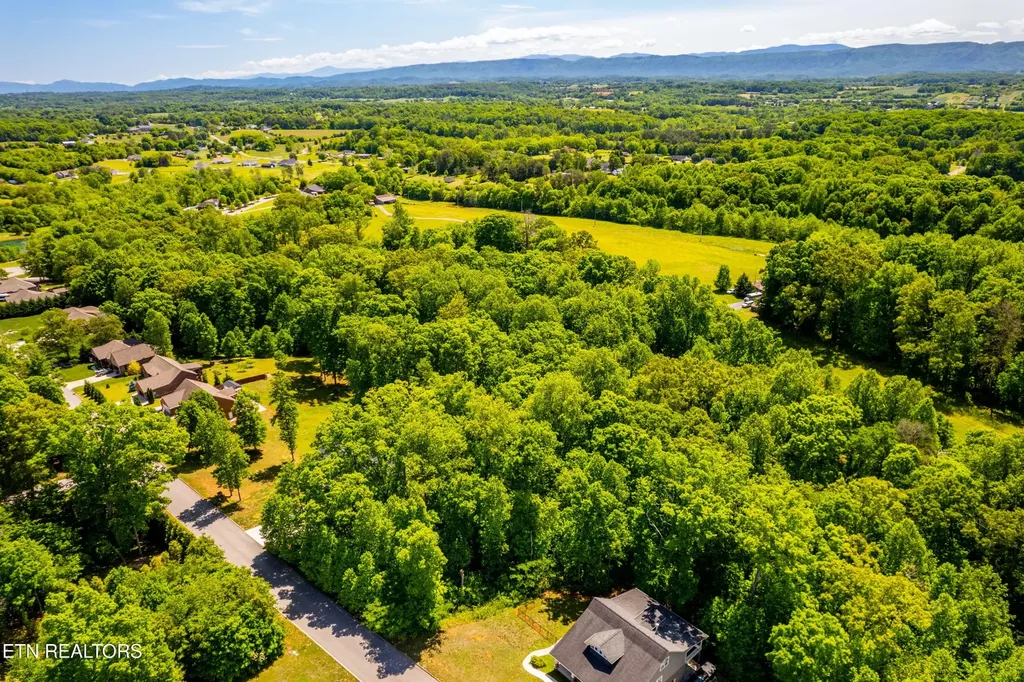 1055 Houston Springs Road Greenback TN 37742