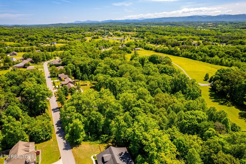 1055 Houston Springs Road Greenback TN 37742