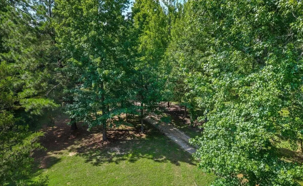 132 Hatt Lane Rockwood TN 37854