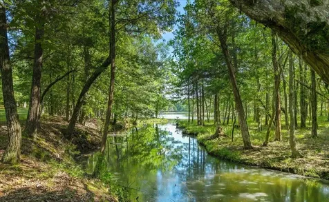 132 Hatt Lane Rockwood TN 37854