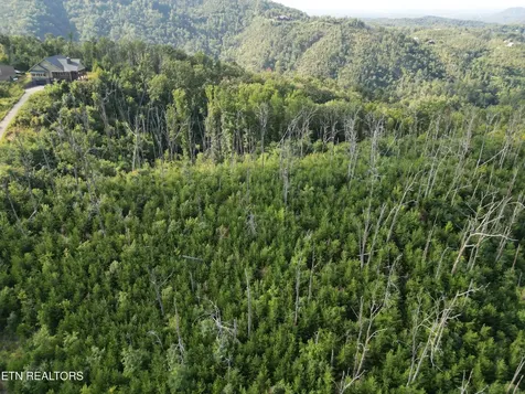 0 Wiley Oakley Drive Gatlinburg TN 37738