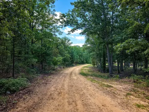 111 Adaleighs Way Big Sandy TN 38221