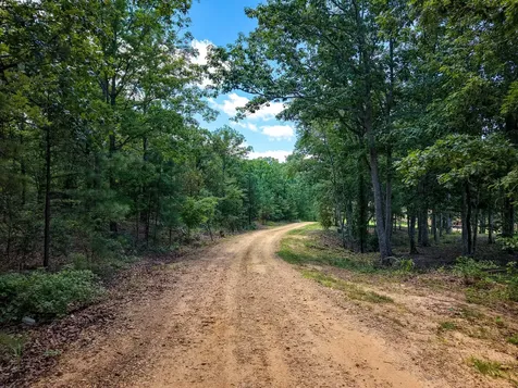 111 Adaleighs Way Big Sandy TN 38221