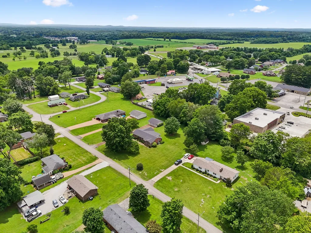 205 Crestview Street Chapel Hill TN 37034