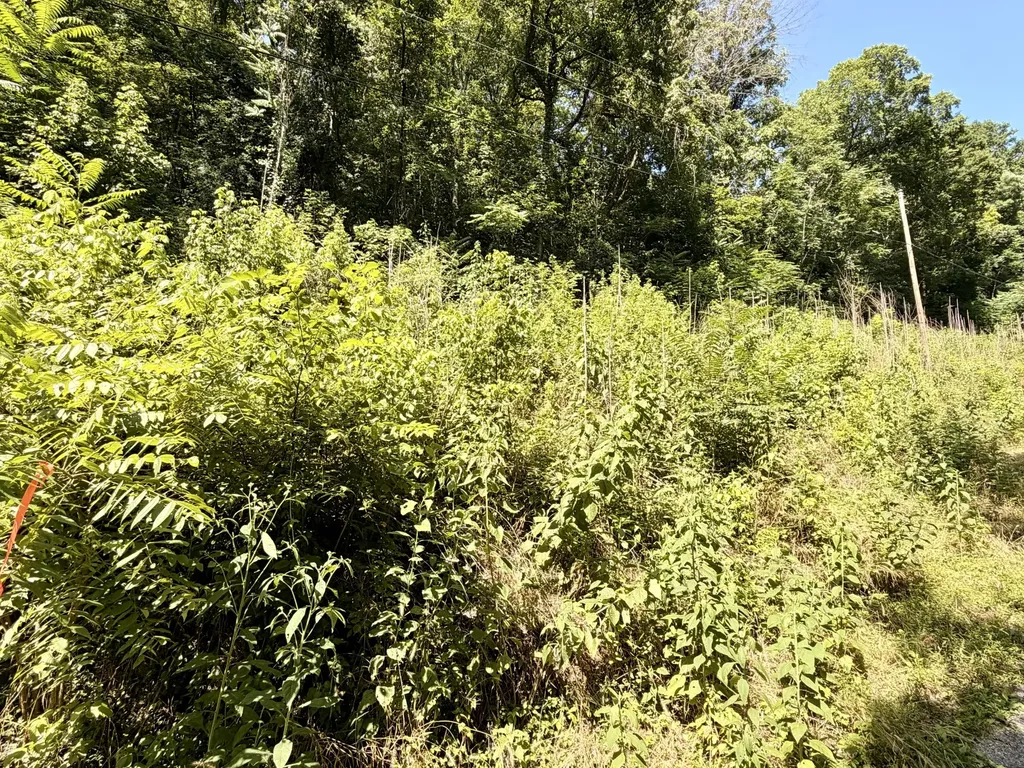 0 Silver Point Road Silver Point TN 38582