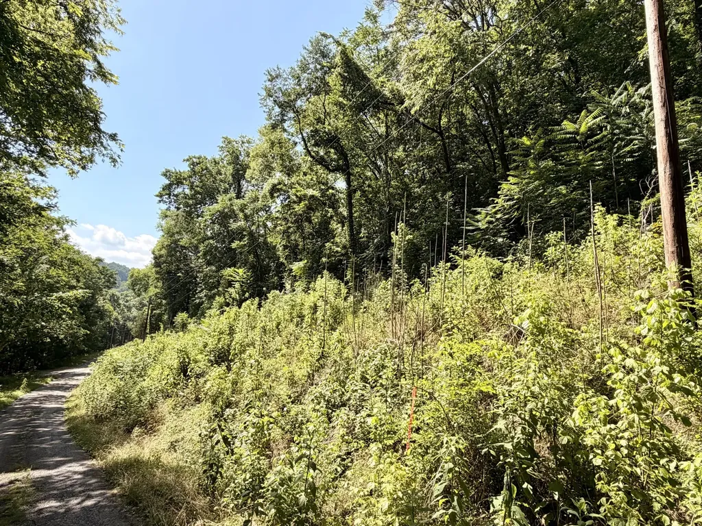 0 Silver Point Road Silver Point TN 38582