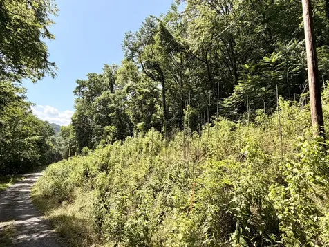 0 Silver Point Road Silver Point TN 38582