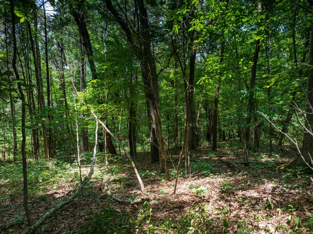 0 Highway 70, N Dickson TN 37055