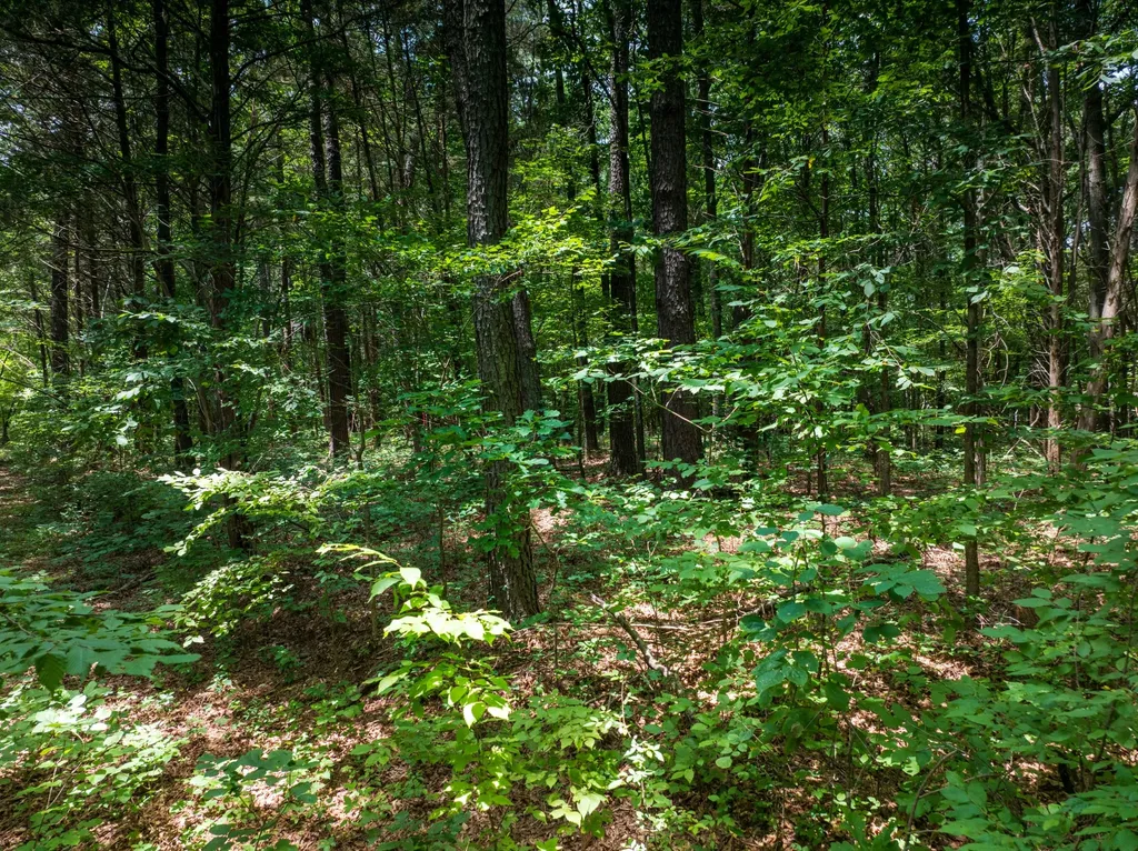 0 Highway 70, N Dickson TN 37055