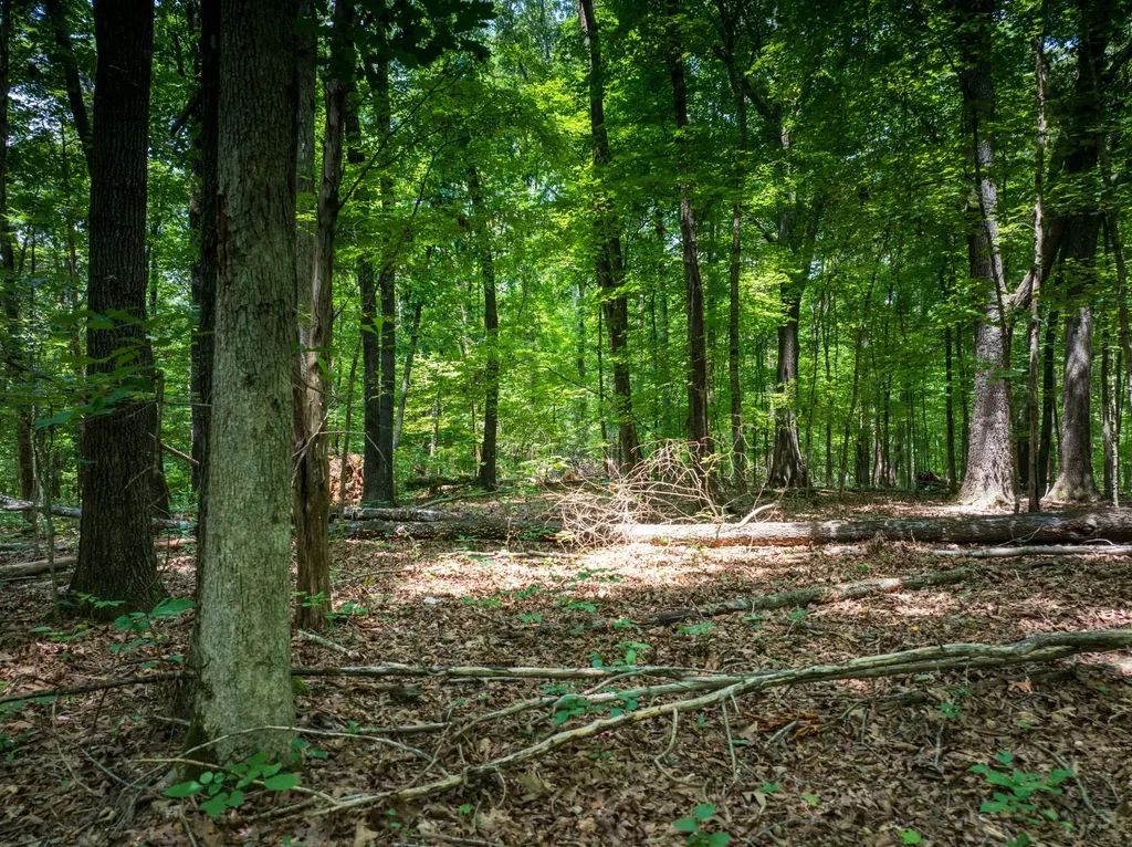 0 Highway 70, N Dickson TN 37055
