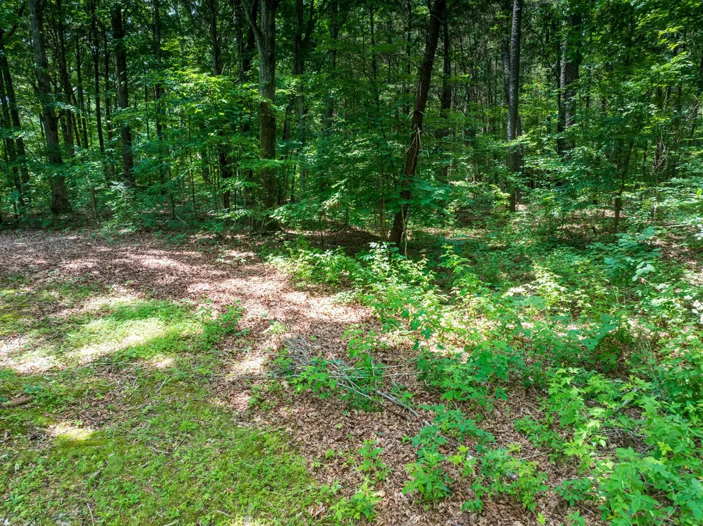 0 Highway 70, N Dickson TN 37055
