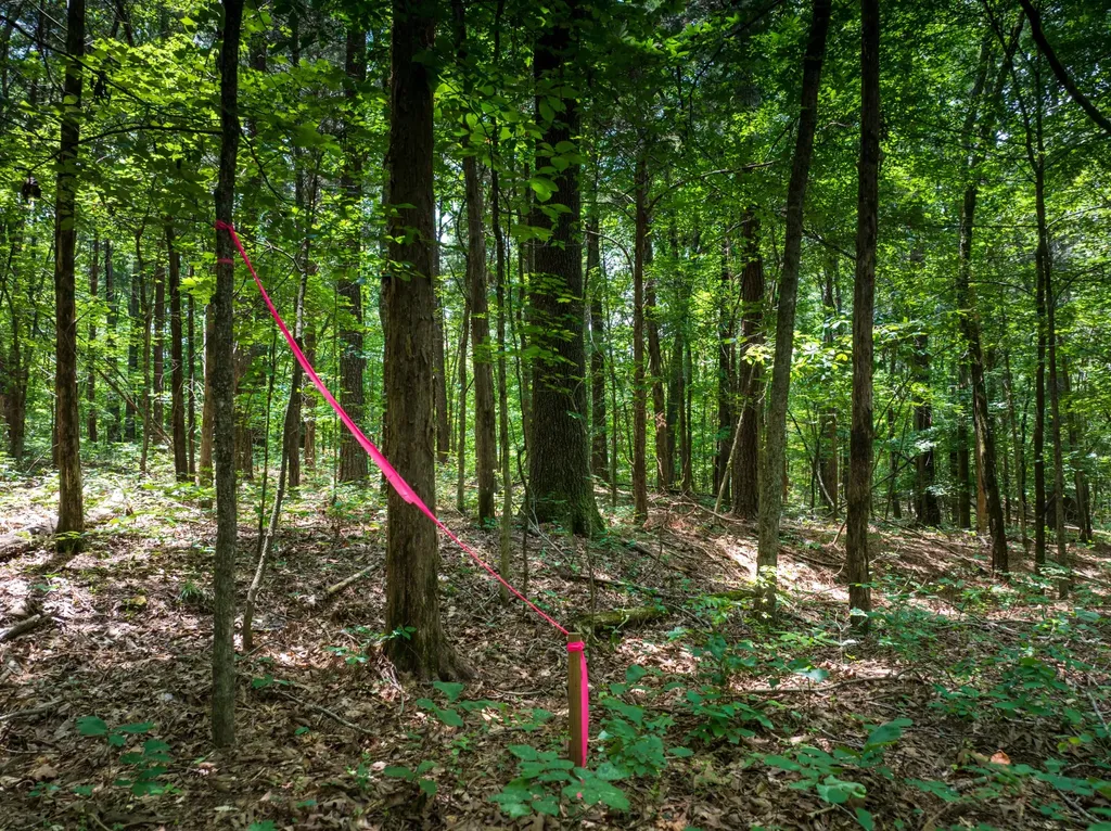 0 Highway 70, N Dickson TN 37055