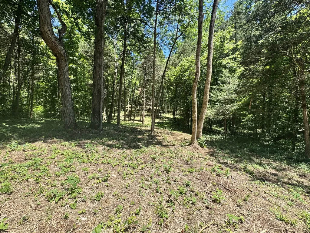 0 Walnut Hill Road Lebanon TN 37090