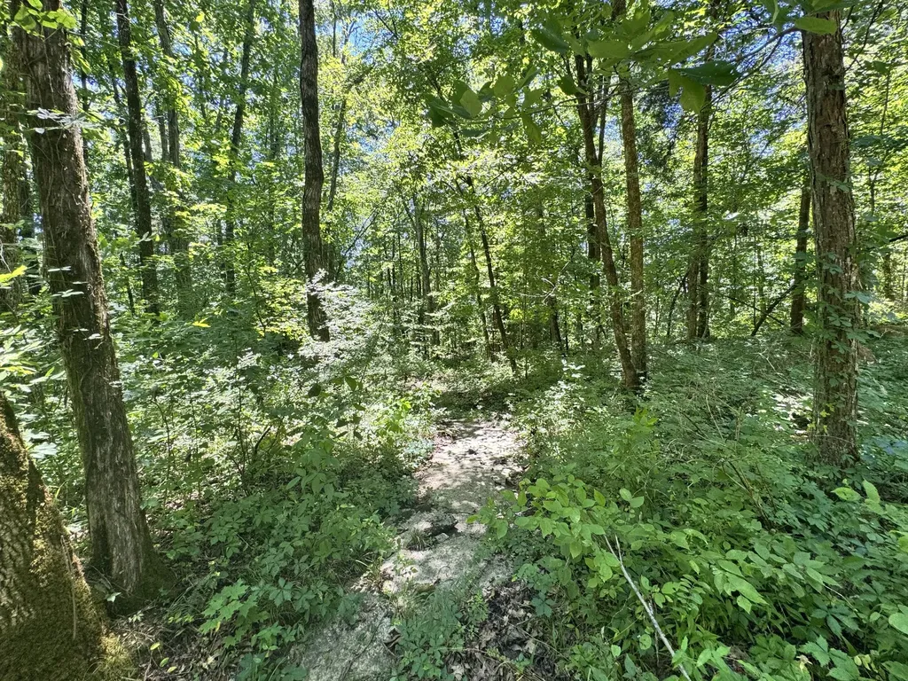 0 Walnut Hill Road Lebanon TN 37090