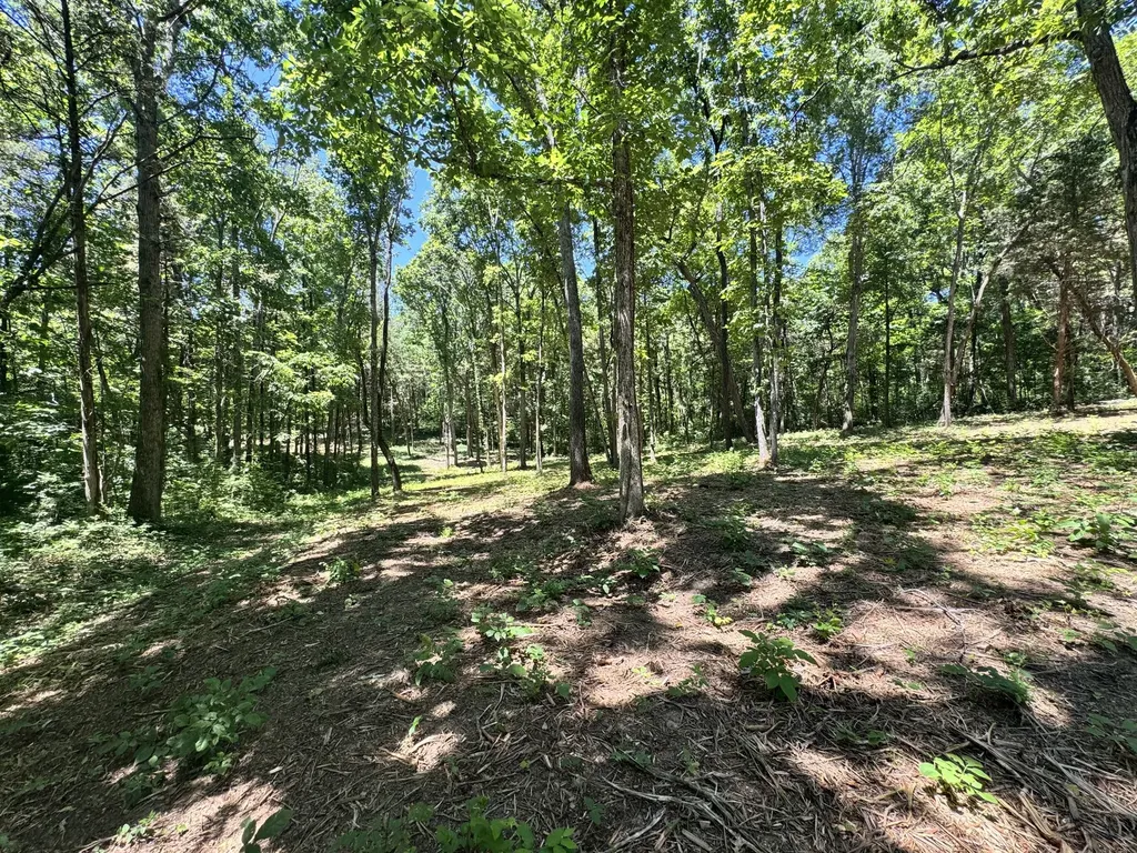 0 Walnut Hill Road Lebanon TN 37090
