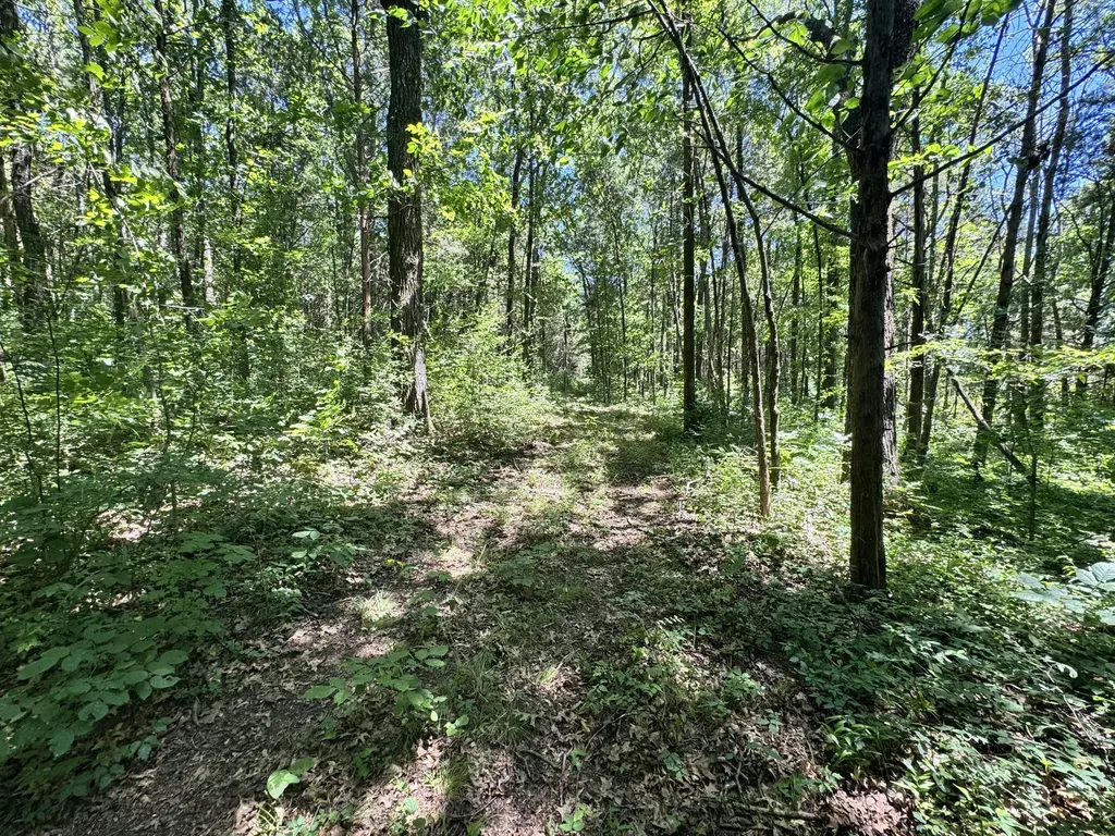 0 Walnut Hill Road Lebanon TN 37090