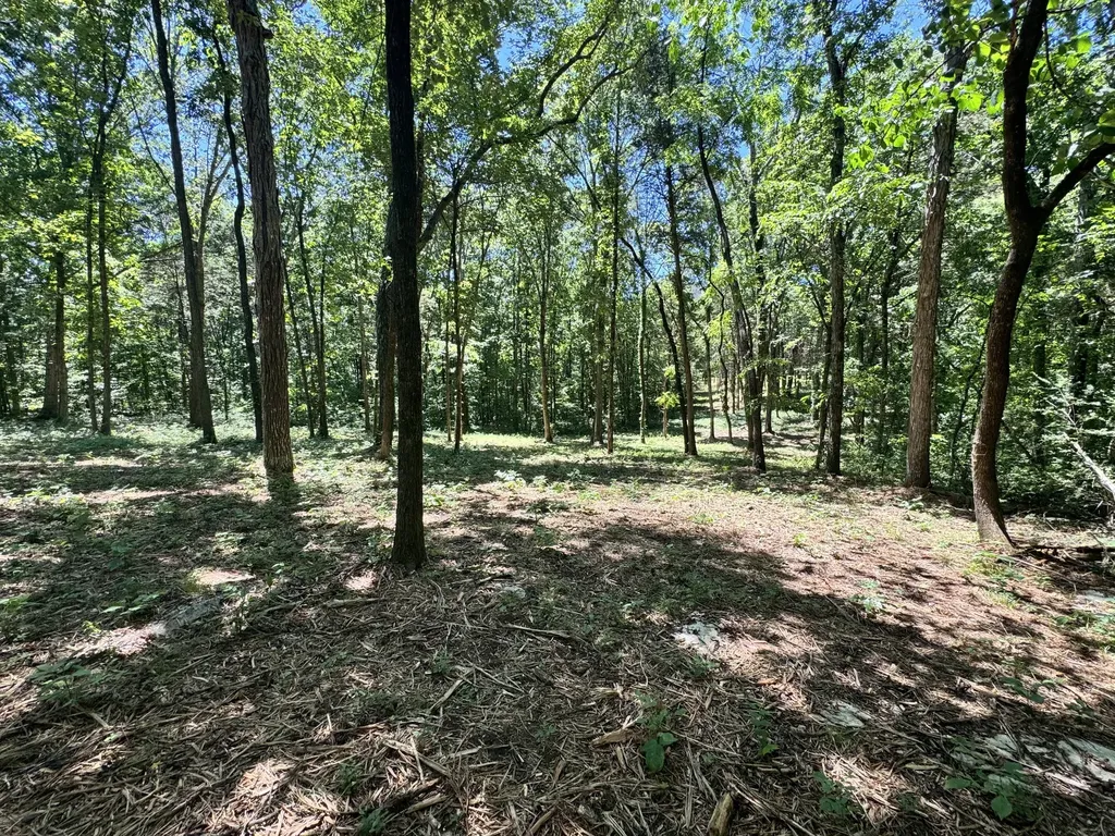 0 Walnut Hill Road Lebanon TN 37090