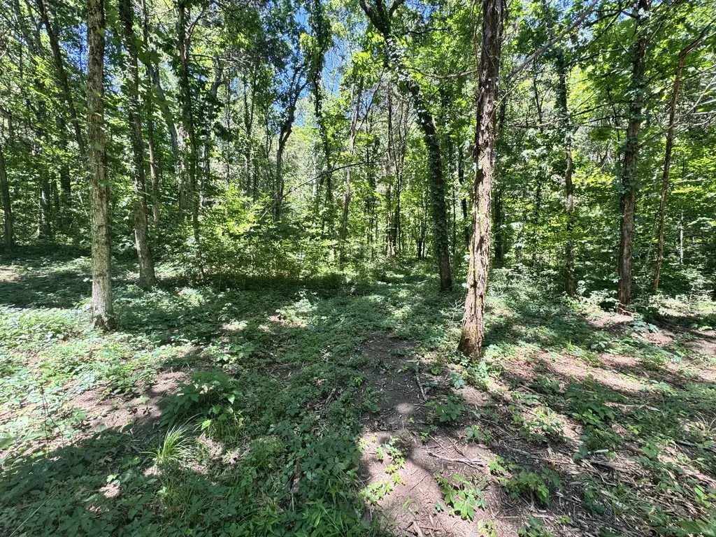0 Walnut Hill Road Lebanon TN 37090