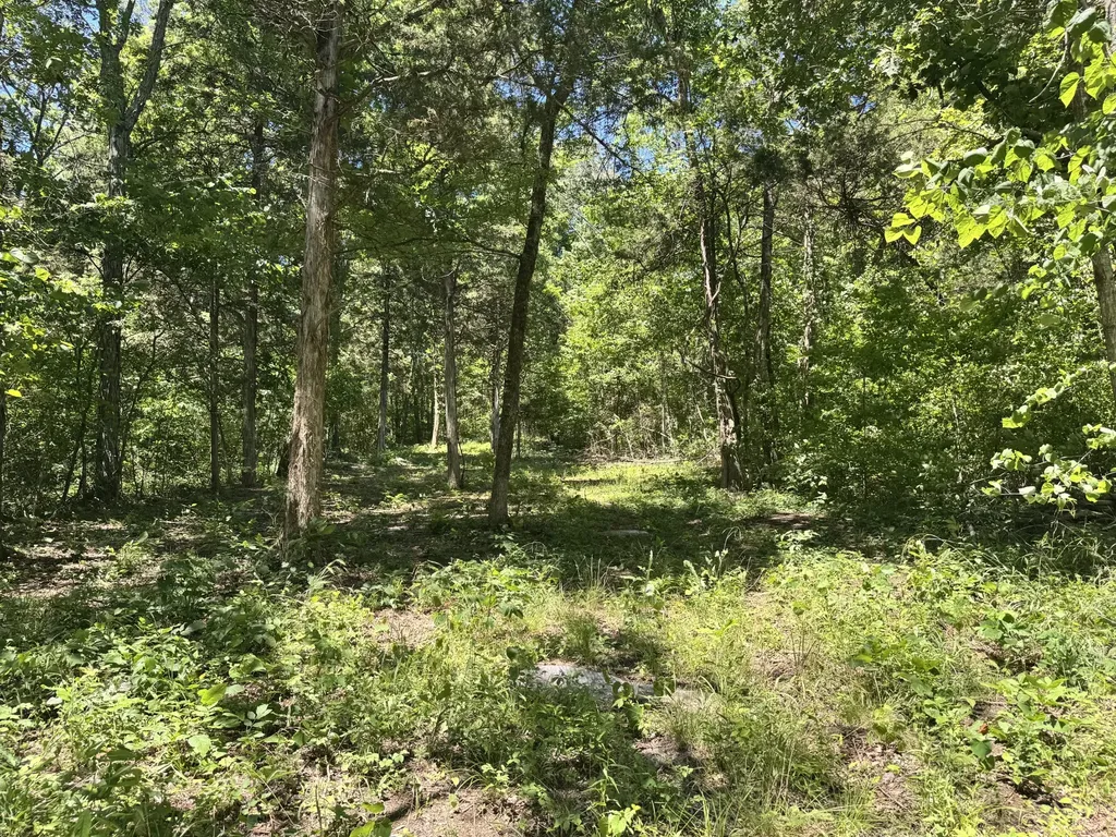 0 Walnut Hill Road Lebanon TN 37090