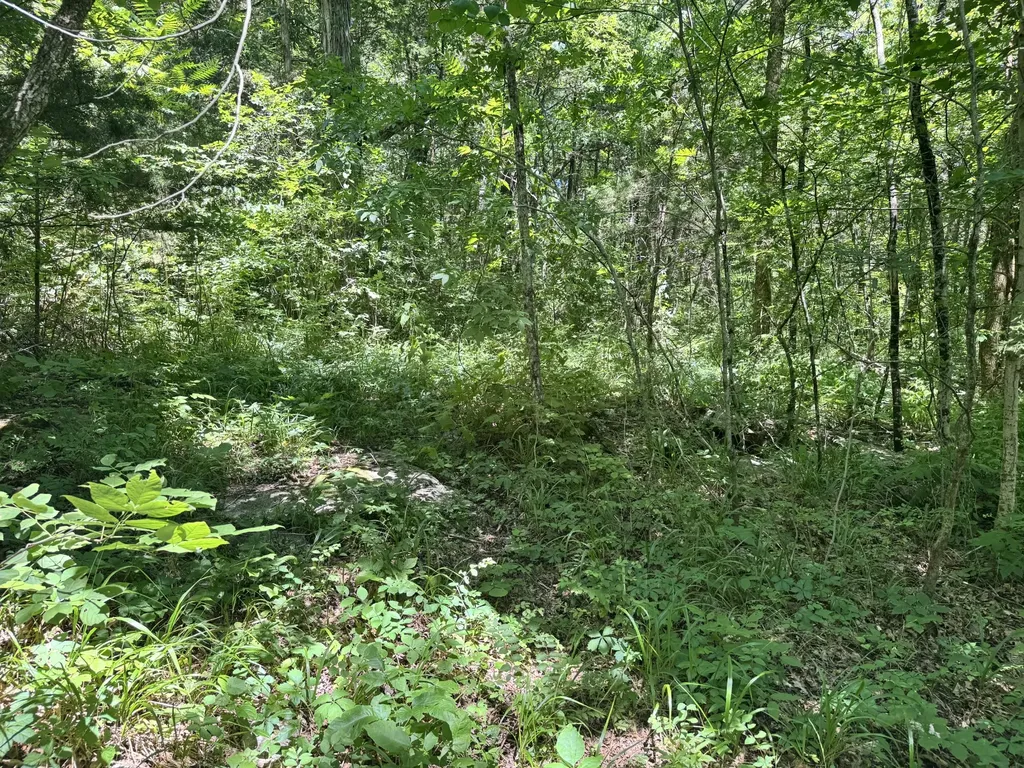 0 Walnut Hill Road Lebanon TN 37090