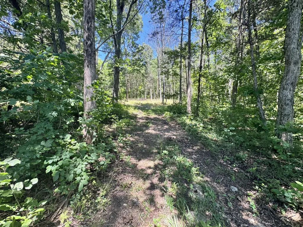 0 Walnut Hill Road Lebanon TN 37090