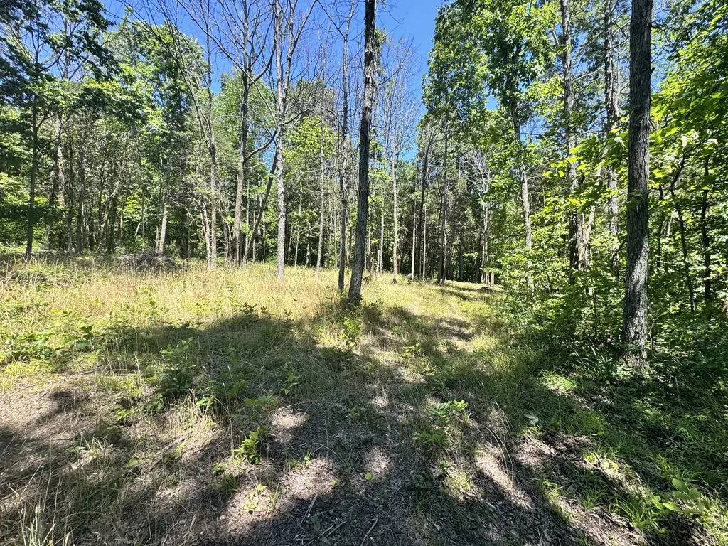 0 Walnut Hill Road Lebanon TN 37090