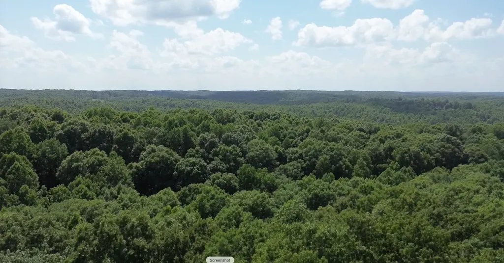 0 Owl Circle Hurricane Mills TN 37078