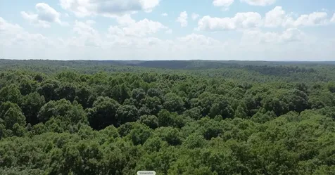 0 Owl Circle Hurricane Mills TN 37078
