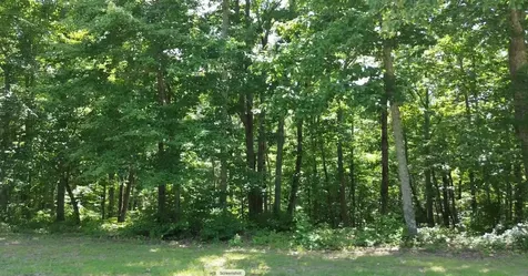0 Owl Circle Hurricane Mills TN 37078