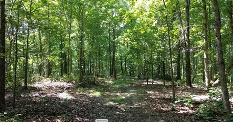 0 Owl Circle Hurricane Mills TN 37078