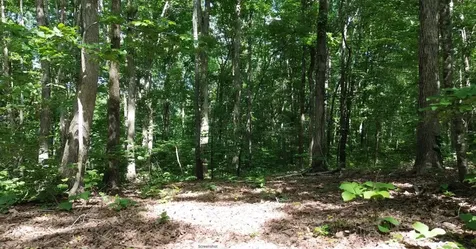 0 Owl Circle Hurricane Mills TN 37078