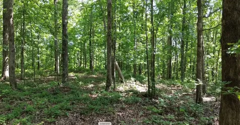 0 Owl Circle Hurricane Mills TN 37078