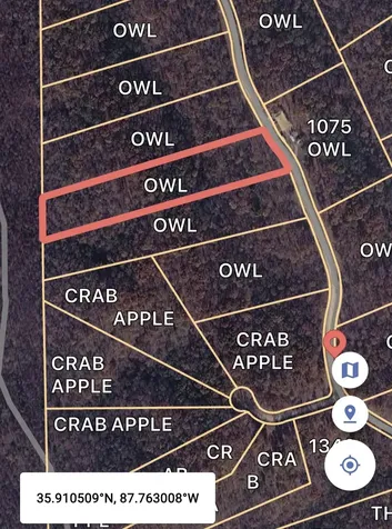 0 Owl Circle Hurricane Mills TN 37078