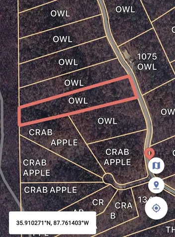0 Owl Circle Hurricane Mills TN 37078