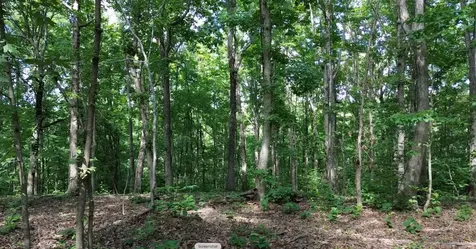 0 Owl Circle Hurricane Mills TN 37078