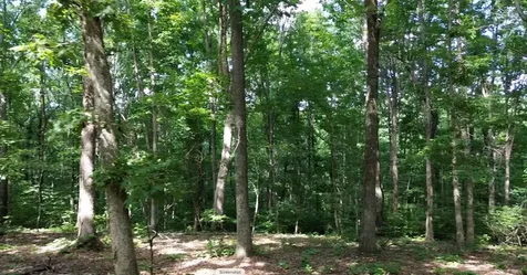0 Owl Circle Hurricane Mills TN 37078