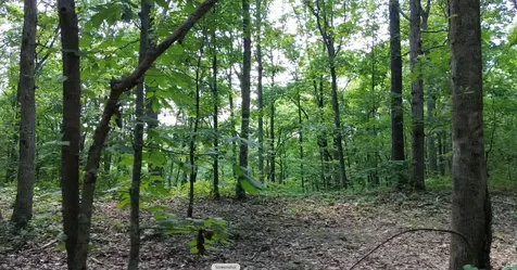 0 Owl Circle Hurricane Mills TN 37078