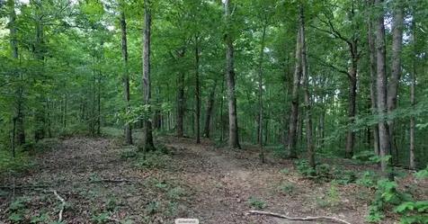 0 Owl Circle Hurricane Mills TN 37078