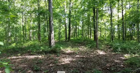 0 Owl Circle Hurricane Mills TN 37078