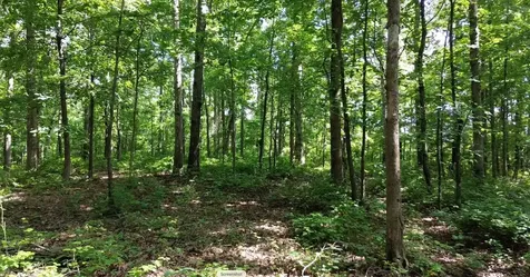 0 Owl Circle Hurricane Mills TN 37078