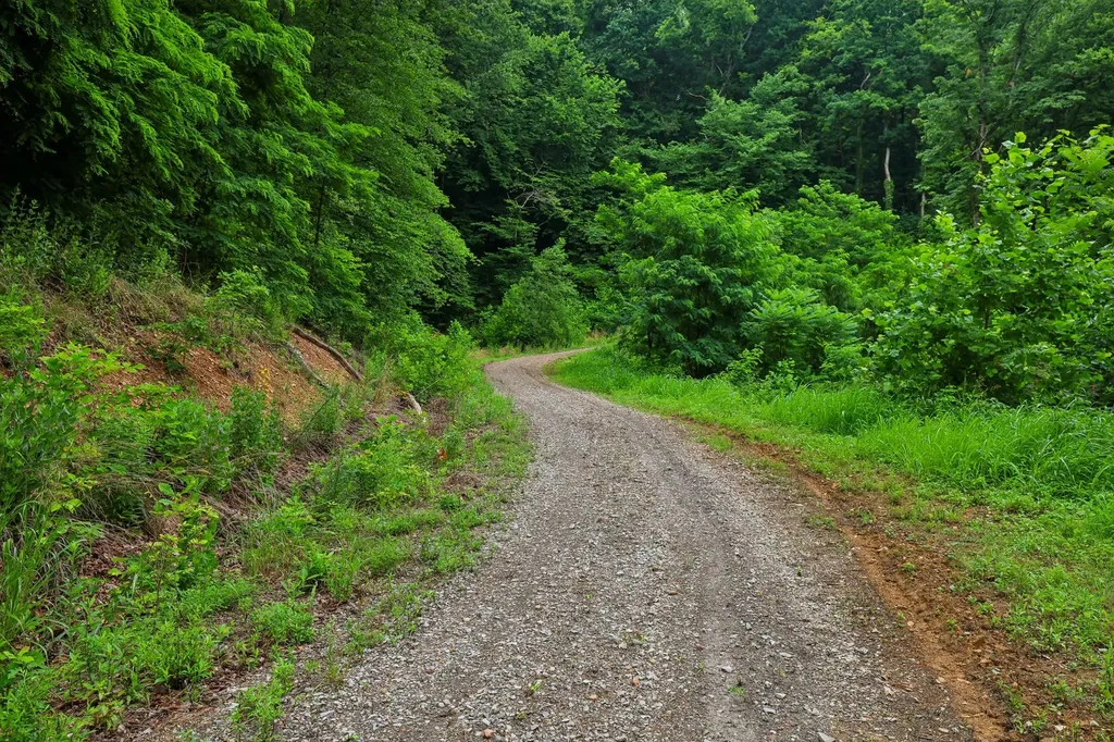 1196 Lula Lane Franklin TN 37064
