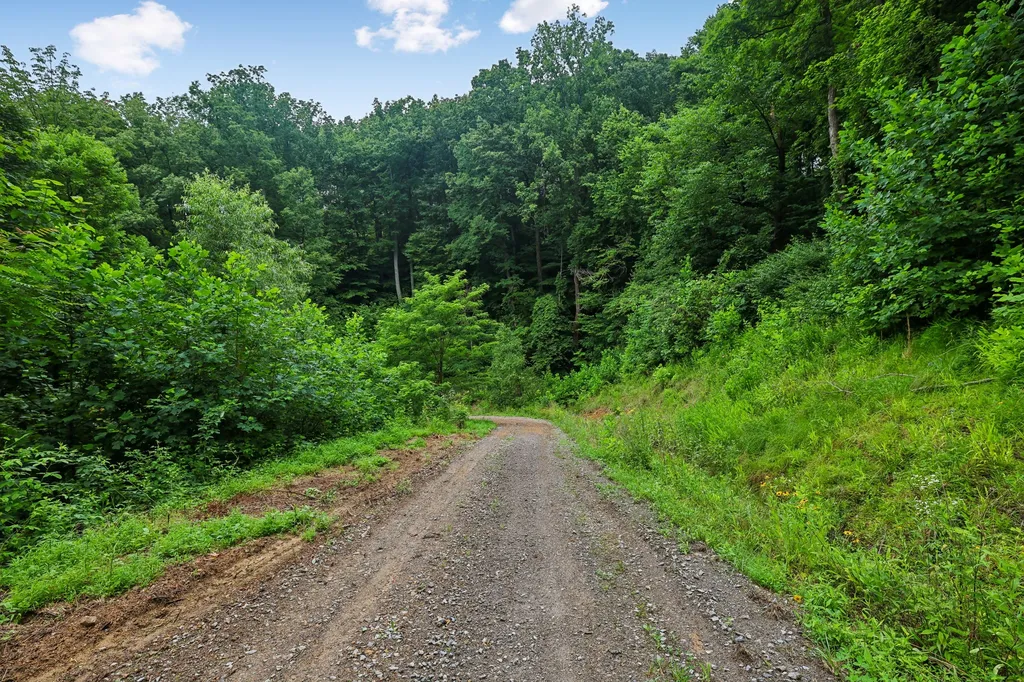 1196 Lula Lane Franklin TN 37064