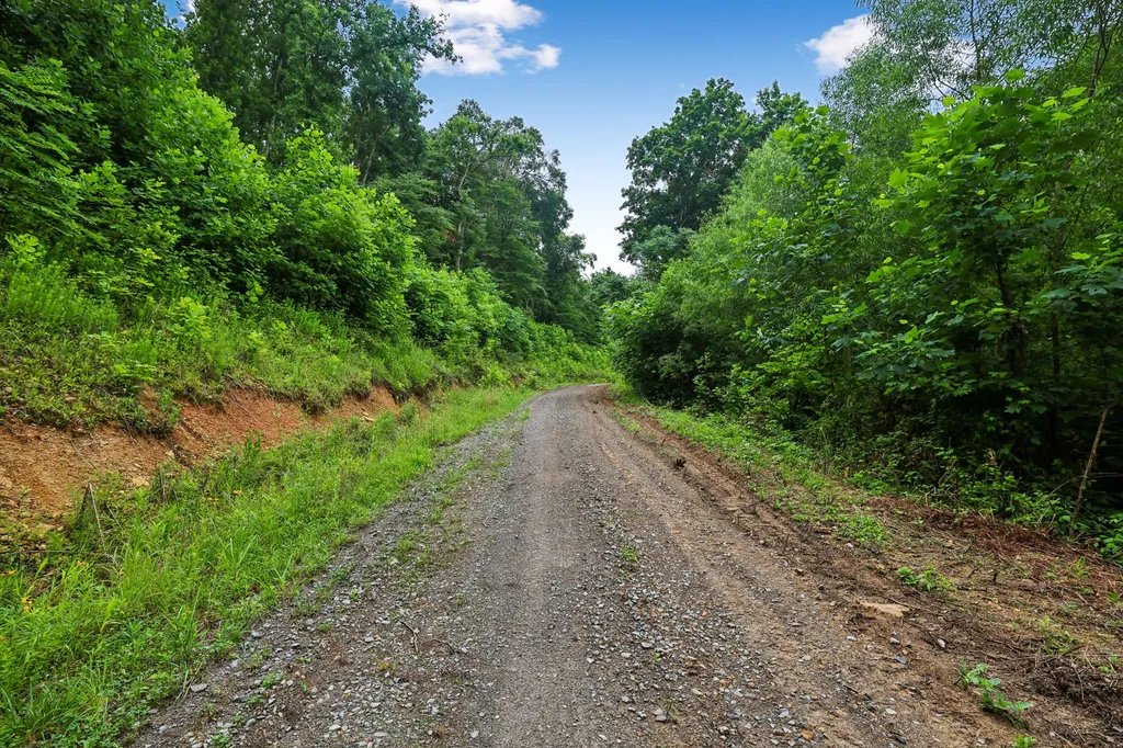1196 Lula Lane Franklin TN 37064