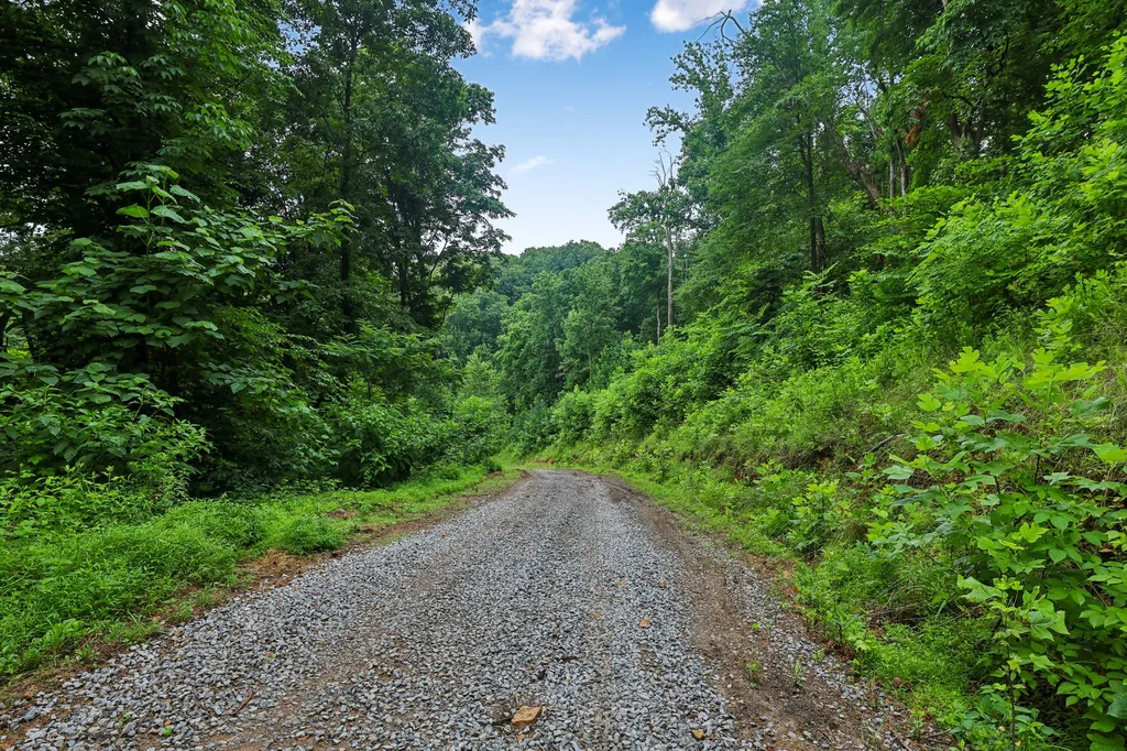 1196 Lula Lane Franklin TN 37064